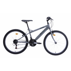 Men's bicycle 24'' ''TORINO'', gray